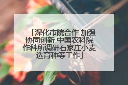 深化市院合作 加强协同创新 中国农科院作科所调研石家庄小麦选育种等工作