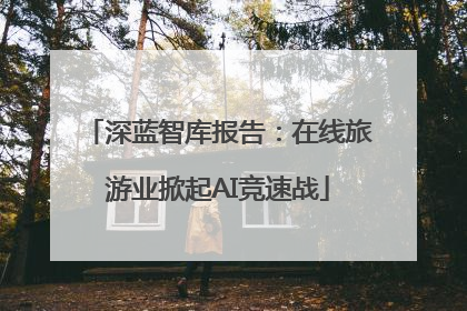 深蓝智库报告：在线旅游业掀起AI竞速战