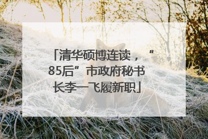 清华硕博连读，“85后”市政府秘书长李一飞履新职