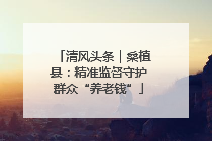 清风头条｜桑植县：精准监督守护群众“养老钱”