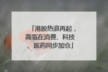 港股热浪再起，高瓴在消费、科技、医药同步加仓