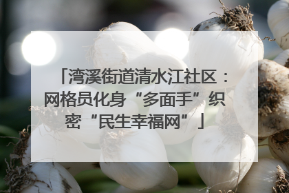 湾溪街道清水江社区：网格员化身“多面手”织密“民生幸福网”