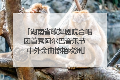 湖南省歌舞剧院合唱团首秀阿尔巴音乐节 中外金曲惊艳欧洲