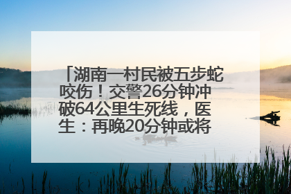 湖南一村民被五步蛇咬伤！交警26分钟冲破64公里生死线，医生：再晚20分钟或将呼吸肌麻痹