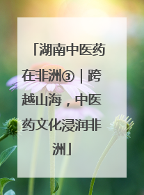 湖南中医药在非洲③｜跨越山海，中医药文化浸润非洲