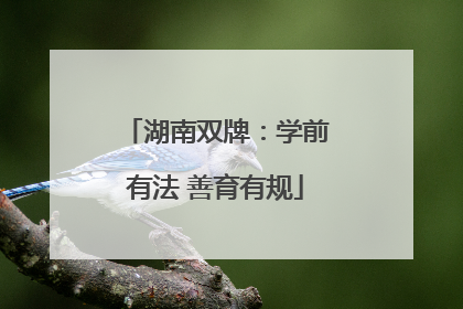 湖南双牌：学前有法 善育有规