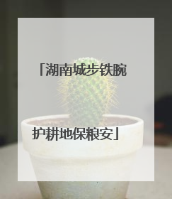 湖南城步铁腕护耕地保粮安