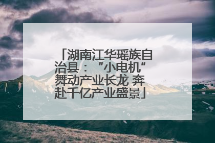 湖南江华瑶族自治县：“小电机”舞动产业长龙 奔赴千亿产业盛景