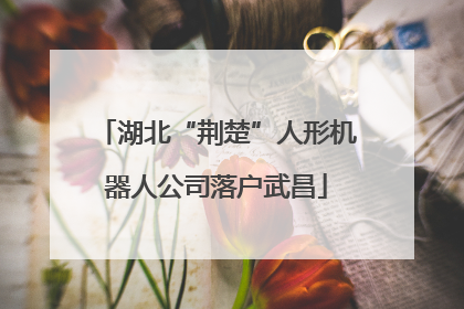 湖北“荆楚”人形机器人公司落户武昌