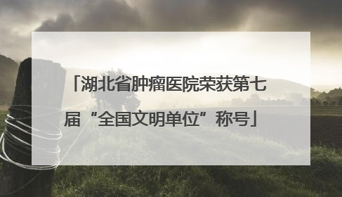 湖北省肿瘤医院荣获第七届“全国文明单位”称号