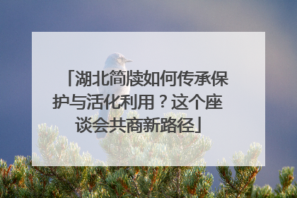 湖北简牍如何传承保护与活化利用？这个座谈会共商新路径