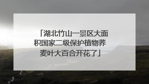 湖北竹山一景区大面积国家二级保护植物荞麦叶大百合开花了