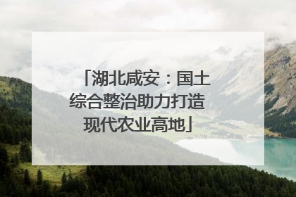 湖北咸安：国土综合整治助力打造现代农业高地