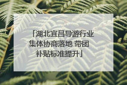 湖北宜昌导游行业集体协商落地 带团补贴标准提升