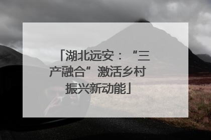 湖北远安：“三产融合”激活乡村振兴新动能