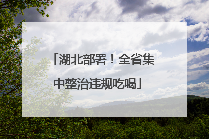 湖北部署！全省集中整治违规吃喝