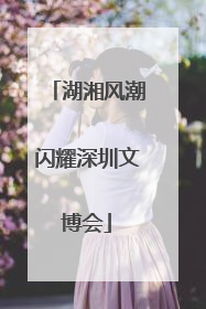 湖湘风潮闪耀深圳文博会