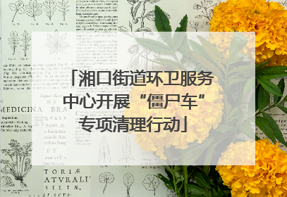 湘口街道环卫服务中心开展“僵尸车”专项清理行动