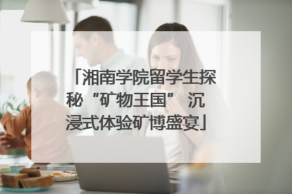 湘南学院留学生探秘“矿物王国” 沉浸式体验矿博盛宴