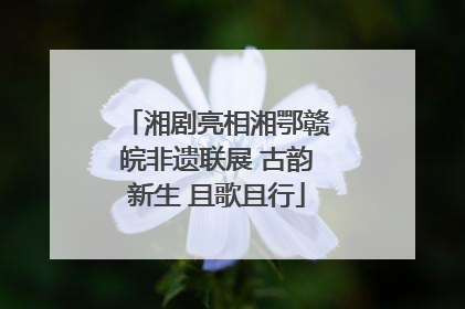 湘剧亮相湘鄂赣皖非遗联展 古韵新生 且歌且行