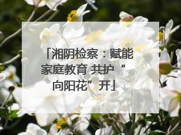 湘阴检察：赋能家庭教育 共护“向阳花”开