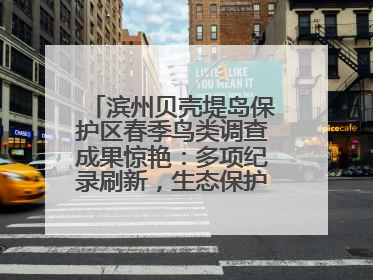 滨州贝壳堤岛保护区春季鸟类调查成果惊艳：多项纪录刷新，生态保护成效显著