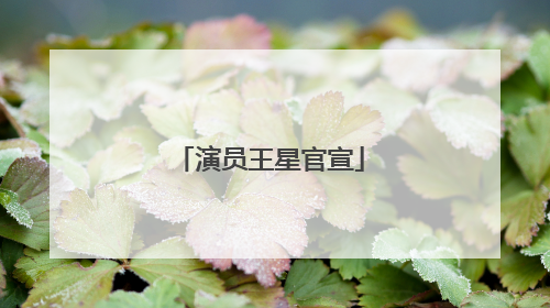 演员王星官宣