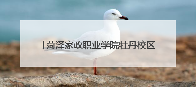 菏泽家政职业学院牡丹校区学子创意点亮校园安全生活