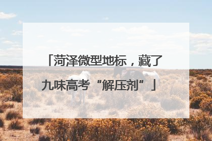 菏泽微型地标，藏了九味高考“解压剂”