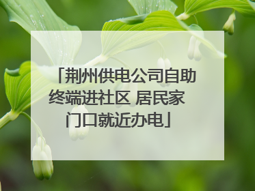 荆州供电公司自助终端进社区 居民家门口就近办电