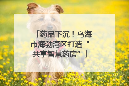 药品下沉！乌海市海勃湾区打造“共享智慧药房”