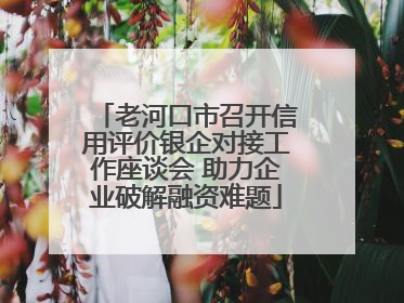 老河口市召开信用评价银企对接工作座谈会 助力企业破解融资难题
