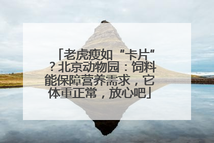 老虎瘦如“卡片”？北京动物园：饲料能保障营养需求，它体重正常，放心吧