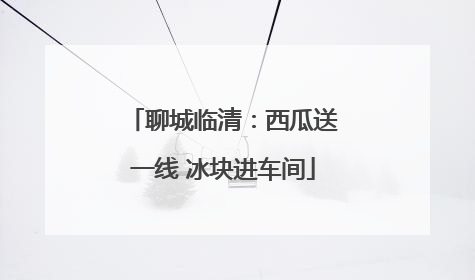 聊城临清：西瓜送一线 冰块进车间