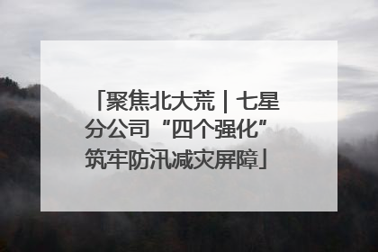 聚焦北大荒｜七星分公司“四个强化”筑牢防汛减灾屏障