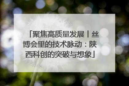 聚焦高质量发展丨丝博会里的技术脉动：陕西科创的突破与想象