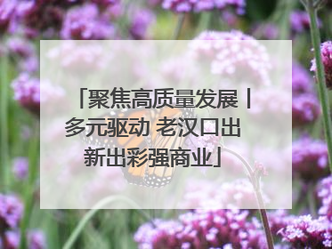 聚焦高质量发展丨多元驱动 老汉口出新出彩强商业