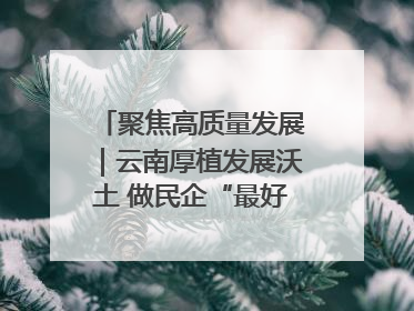 聚焦高质量发展｜云南厚植发展沃土 做民企“最好合伙人”
