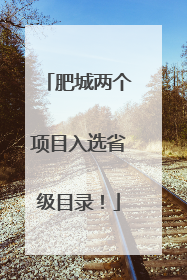 肥城两个项目入选省级目录！
