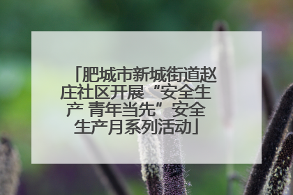 肥城市新城街道赵庄社区开展“安全生产 青年当先”安全生产月系列活动