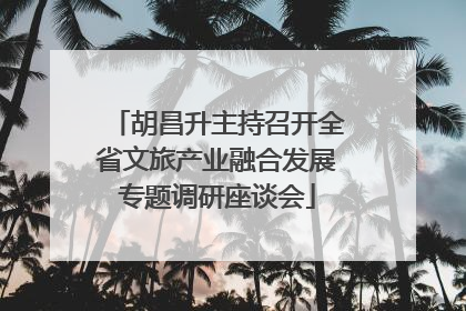 胡昌升主持召开全省文旅产业融合发展专题调研座谈会