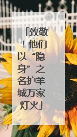 致敬！他们以“隐身”之名护羊城万家灯火