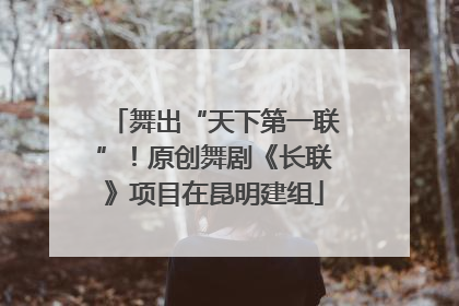 舞出“天下第一联”！原创舞剧《长联》项目在昆明建组