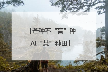 芒种不“盲”种 AI“慧”种田
