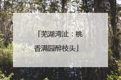 芜湖湾沚：桃香满园醉枝头