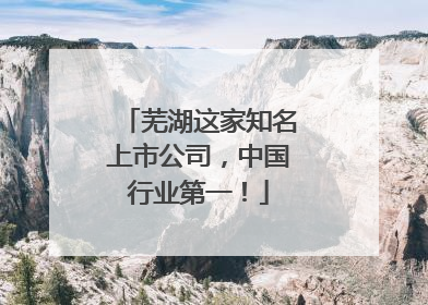 芜湖这家知名上市公司，中国行业第一！