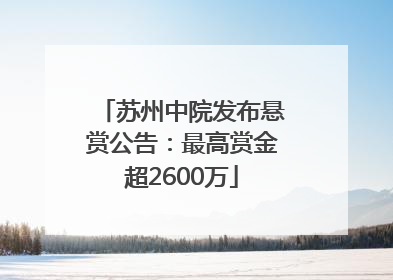 苏州中院发布悬赏公告：最高赏金超2600万