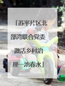苏平片区北部湾联合党委 激活乡村治理一池春水