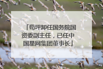 苟坪卸任国务院国资委副主任，已任中国星网集团董事长