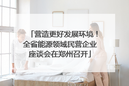 营造更好发展环境！全省能源领域民营企业座谈会在郑州召开